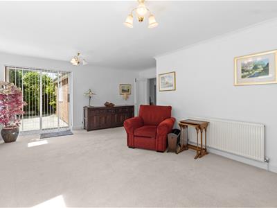 Picture 21